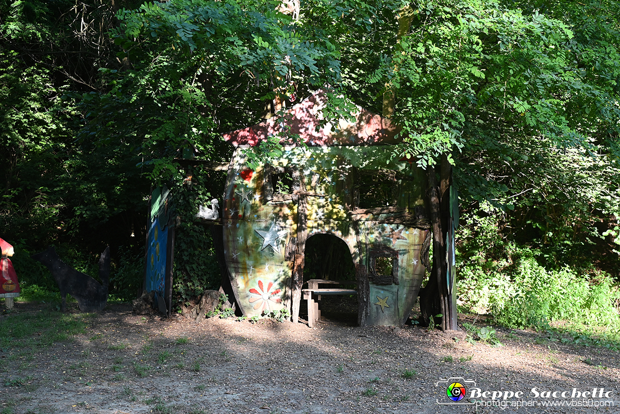 VBS_4944 - Il bosco fatato - Montaldo Roero.jpg